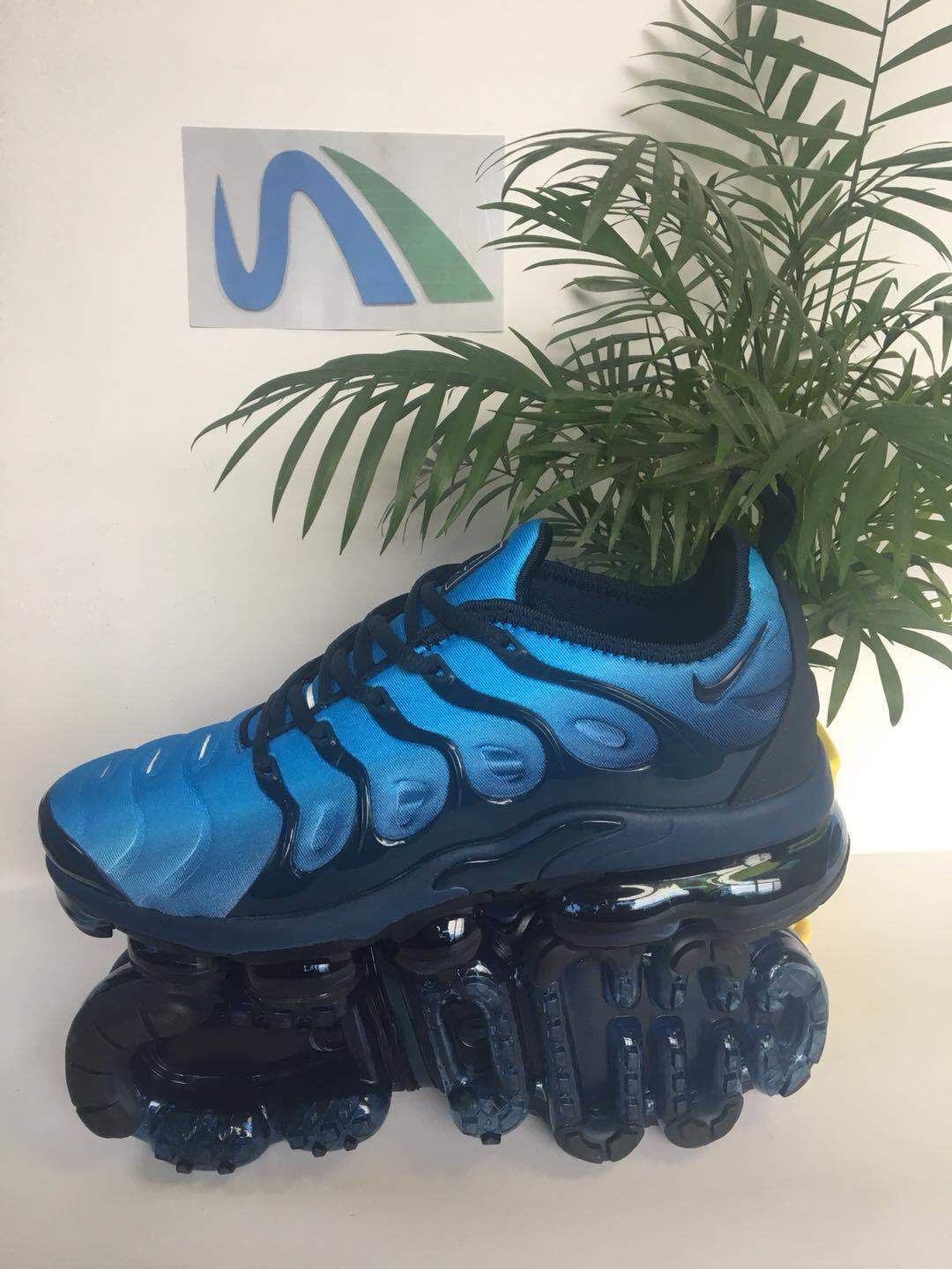 TN AIR VAPORMAX PLUS