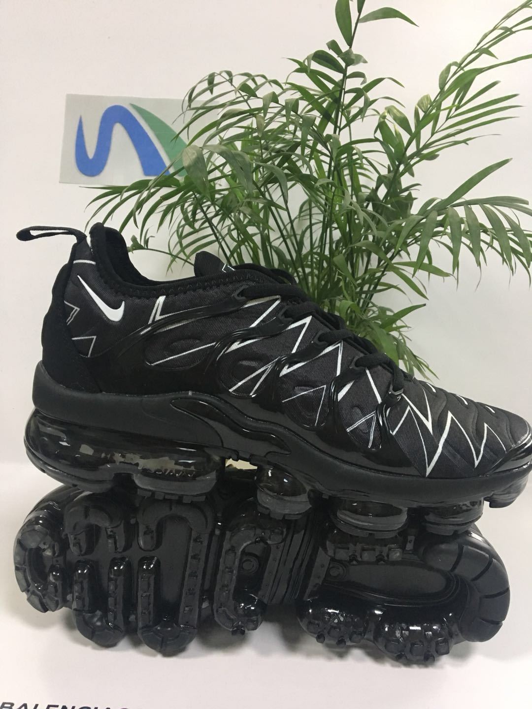 TN AIR VAPORMAX PLUS